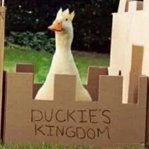 Meet your Posher, Carl